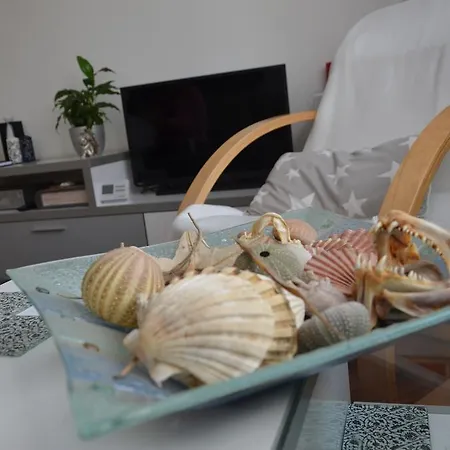 Deluxe Stomorica